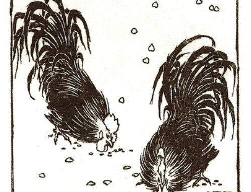 Timmermans – Pallieter, vogels voeren